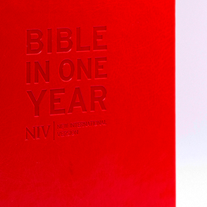 Picture of NIV Journalling Bible in One Year: Red