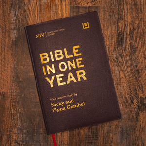Picture of NIV Bible in One Year with Commentary -  Leather