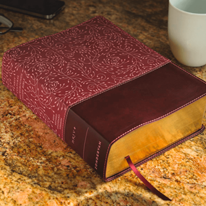 Picture of NRSV Cultural Backgrounds Study Bible