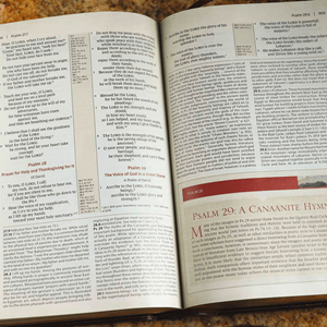 Picture of NRSV Cultural Backgrounds Study Bible