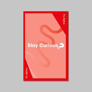 Picture of Stay Curious Wallet Card v2